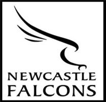 club logo for newcastle falcons