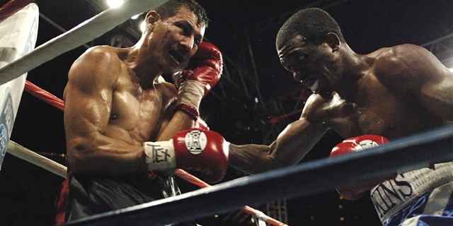 two boxers in a ring